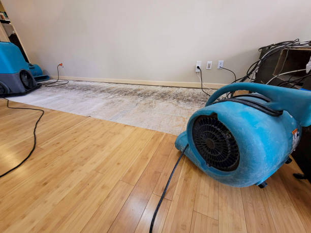 Professional Sewage Cleanup technician working in Southington, OH